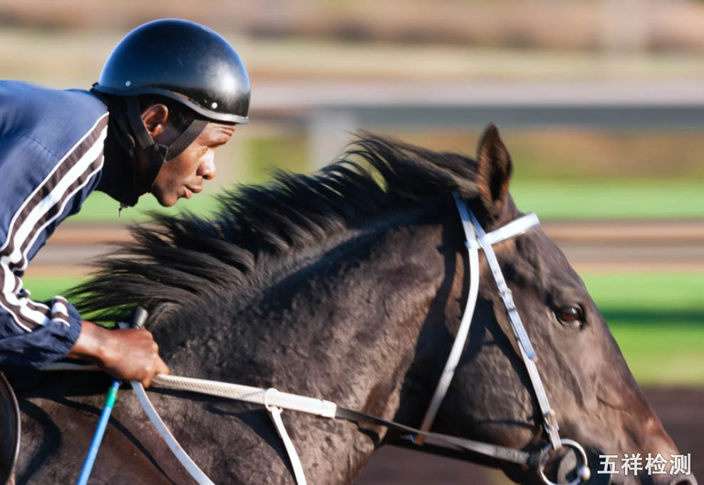 ��ϣ��Ϸ(�й���½)�ٷ���վ