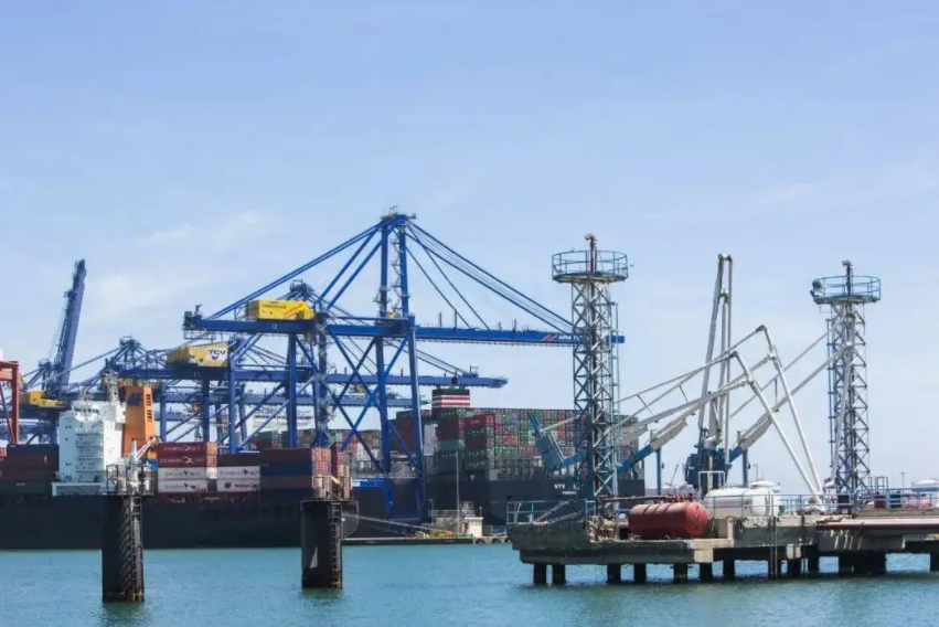 ����ѷ������֤Ҫ�����